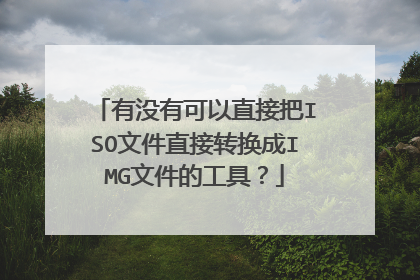 有没有可以直接把ISO文件直接转换成IMG文件的工具?