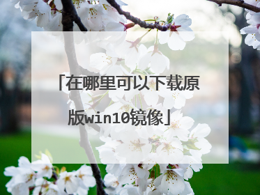 �������������ԭ��win10����