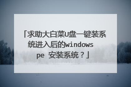 ������ײ�U��һ��װϵͳ������windows pe ��װϵͳ��
