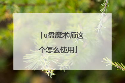 u��ħ��ʦ�����ôʹ��