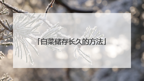 白菜储存长久的方法