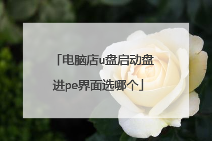 电脑店u盘启动盘进pe界面选哪个