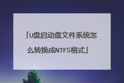 U���������ļ�ϵͳ��ôת����NTFS��ʽ