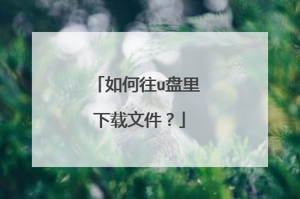 如何往u盘里下载文件?