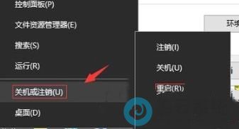 ѡ������