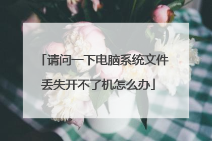 ����һ�µ���ϵͳ�ļ���ʧ�����˻���ô��