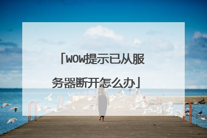 WOW��ʾ�Ѵӷ������Ͽ���ô��