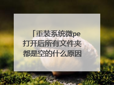 ��װϵͳ΢pe�򿪺������ļ��ж��ǿյ�ʲôԭ��Ҳ�Ҳ�������û����װ��