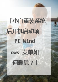 С����װϵͳ�󿪻������� PE-Windows �˵����ɾ����