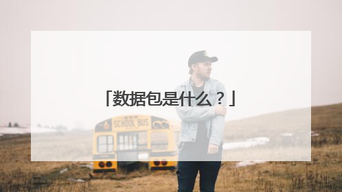 ���ݰ���ʲô��