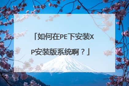 �����PE�°�װXP��װ��ϵͳ����