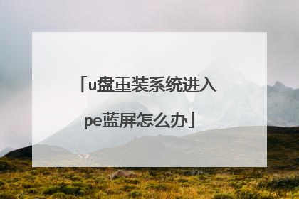 u盘重装系统进入pe蓝屏怎么办