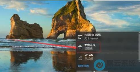 ѡ���������