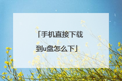 �ֻ�ֱ�����ص�u����ô��