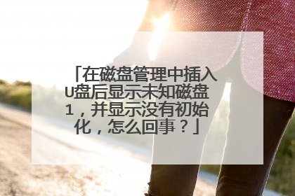 �ڴ��̹����в���U�̺���ʾδ֪����1������ʾû�г�ʼ������ô���£�