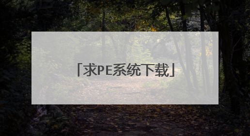��PEϵͳ����