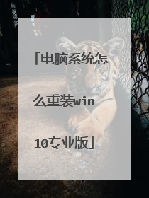 电脑系统怎么重装win10专业版