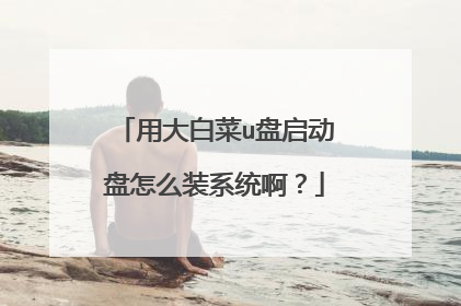 用大白菜u盘启动盘怎么装系统啊?