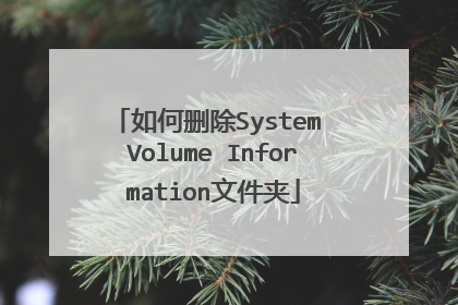���ɾ��System Volume Information�ļ���