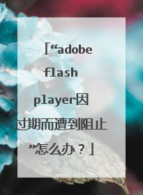 ��adobe flash player����ڶ��⵽��ֹ����ô�죿