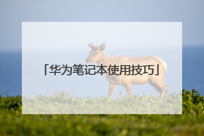 ��Ϊ�ʼǱ�ʹ�ü���