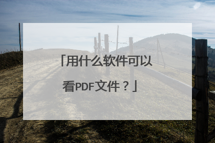 ��ʲô�������Կ�PDF�ļ���