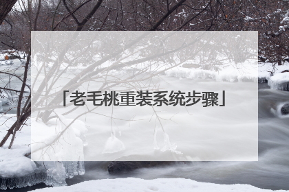 老毛桃重装系统步骤