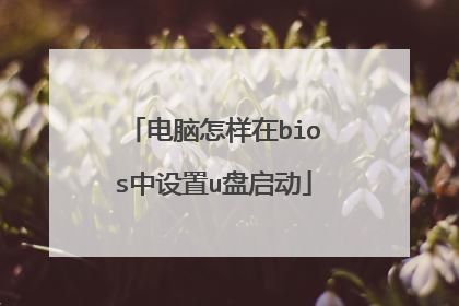 ����������bios������u������