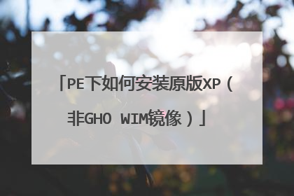 PE����ΰ�װԭ��XP����GHO WIM����