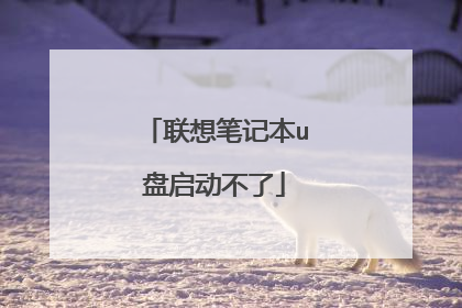 ����ʼǱ�u����������