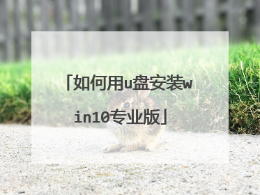 如何用u盘安装win10专业版