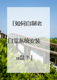 ��������ϰײ�ϵͳ��װu�̣�