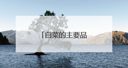 �ײ˵���ҪƷ������Щ��