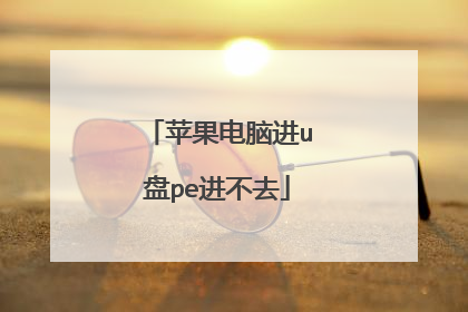 苹果电脑进u盘pe进不去