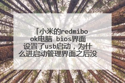 С�׵�redmibook���� bios����������usb������Ϊʲô��������������֮��û����ʾu�̣�