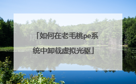 �������ë��peϵͳ��ж���������