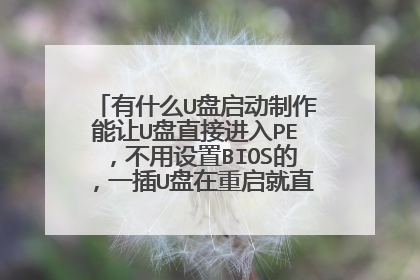��ʲôU��������������U��ֱ�ӽ���PE����������BIOS�ģ�һ��U����������ֱ�ӽ�������֡�