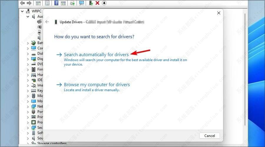 Win11�޷�ʶ�����߶�����ô�죿Win11ʶ�������߶������޸�����