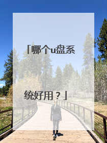 哪个u盘系统好用?