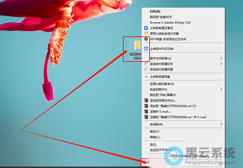 �򿪳��������ļ��е�����