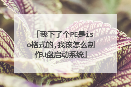�����˸�PE��iso��ʽ��,�Ҹ���ô����U������ϵͳ