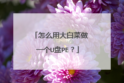 怎么用大白菜做一个U盘PE?