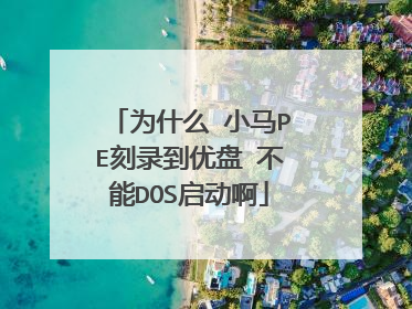 Ϊʲô С��PE��¼������ ����DOS������
