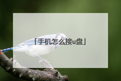 �ֻ���ô��u��