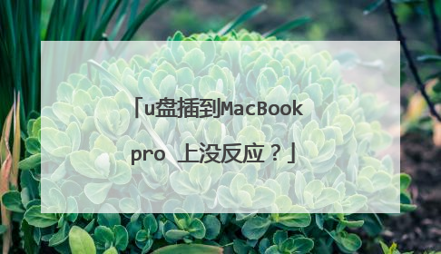 u�̲嵽MacBook pro ��û��Ӧ��