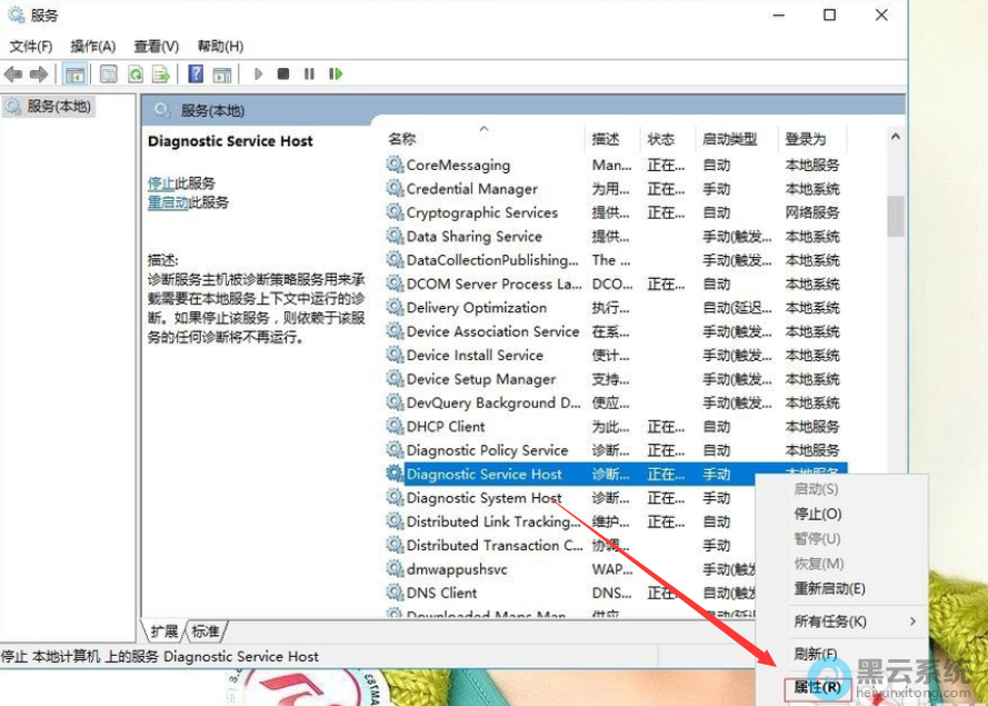 找到Diagnostic Service Host