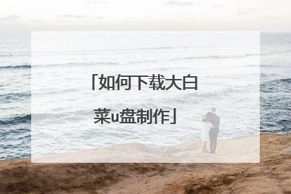 如何下载大白菜u盘制作