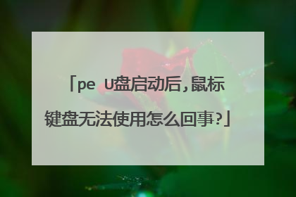 pe U��������,�������޷�ʹ����ô����?