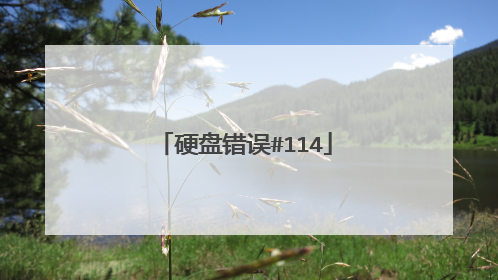 Ӳ�̴���#114