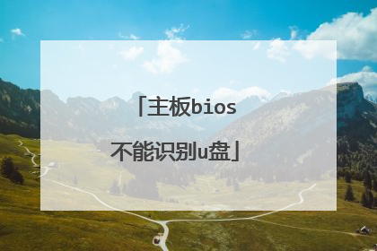 ����bios����ʶ��u��